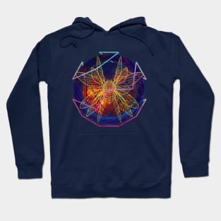 Uncontained Transformation Hoodie